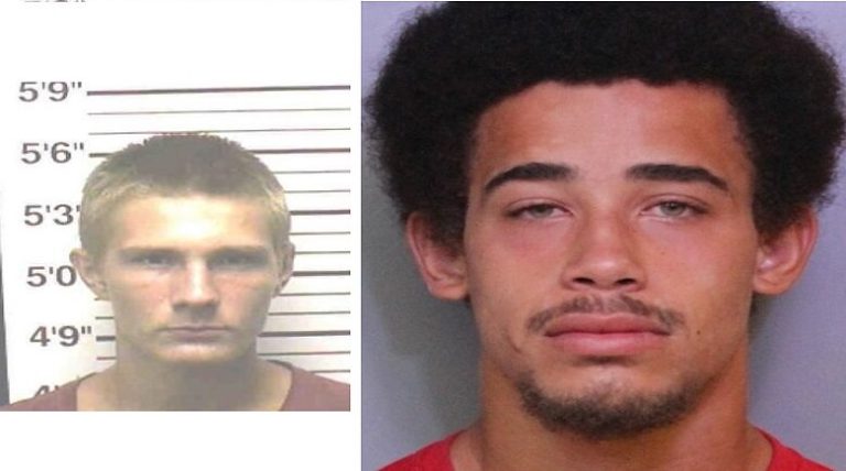 Deputies arrest juvenile and adult for car burglaries in the  un-incorporated Winter Haven area