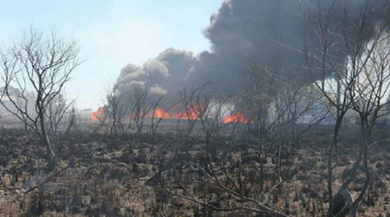 Large Brush Fire Endangered Homes Sunday In Lakeland
