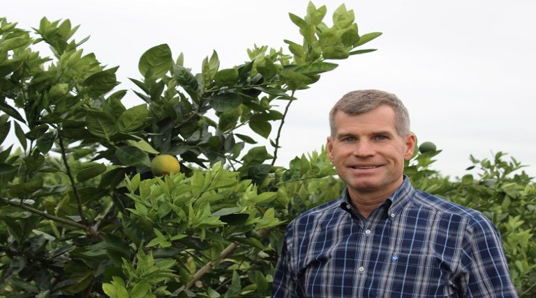 Farm Service Agency Tree Assistance Program Provides Aid to Florida Citrus Growers Combatting Greening