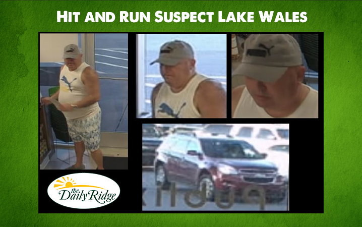 Lake Wales Police Department Looking For Hit and Run Suspect