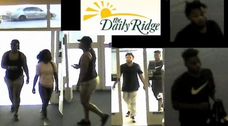 The Lake Wales Police Department is Attempting to Identify These  Grand Theft Suspects