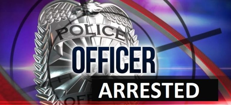 Lakeland Police Officer Arrested for Making False Report with the Department of Children and Families