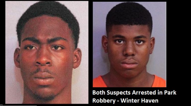 Second Suspect in Park Robbery Of Mother Holding Toddler Arrested Late Yesterday