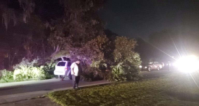 Tree Across Roadway On Old Dixie Highway & K Ville Ave – Two Cars Trapped Underneath
