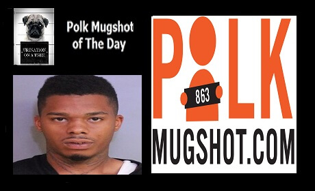 Polk Mugshot of the Day – June 6, 2017