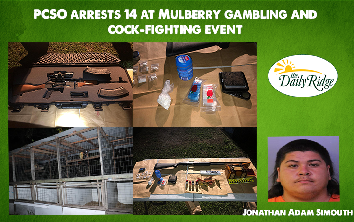 PCSO Arrests 14 at Mulberry Gambling and Cock-Fighting Event