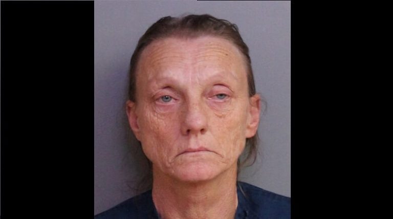 PCSO Deputies Arrest Lakeland Woman Stealing Donated Clothes from Catholic Church – Caught on Surveillance