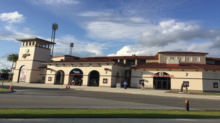 Lakeland Flying Tigers Host a Dog-Friendly Baseball Game