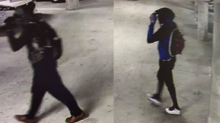 Winter Haven Police Seek Help Identifying Suspects In Vehicle Burglaries