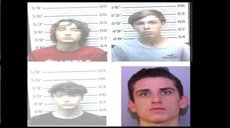 Four Teens Apprehended With Assistance of K-9 Shortly After Breaking Into Cars in Lakeland