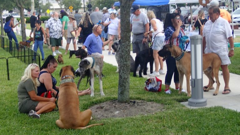 Despite Raining Cats and Dogs, Bark in the Park Huge Success