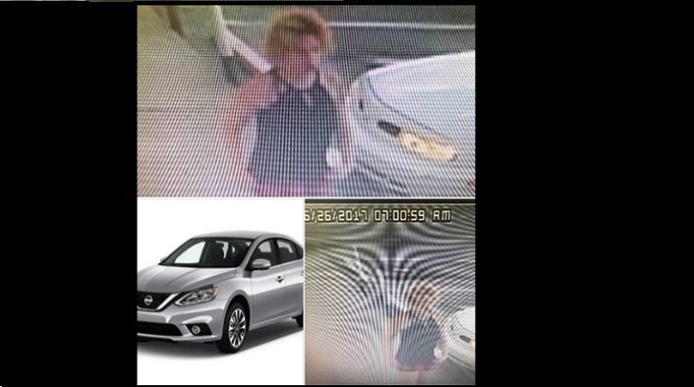 PCSO Looking for Suspect Who Stole Rental Car