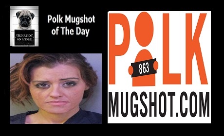 POLK MUGHSOT OF THE DAY – OCTOBER 17, 2017
