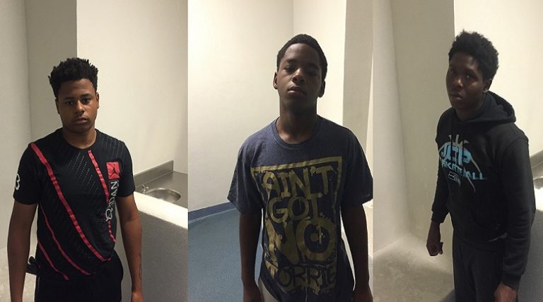 Three Winter Haven Teens Are In Custody on Multiple Felony Charges For Stolen Vehicle and Numerous Vehicle Burglaries