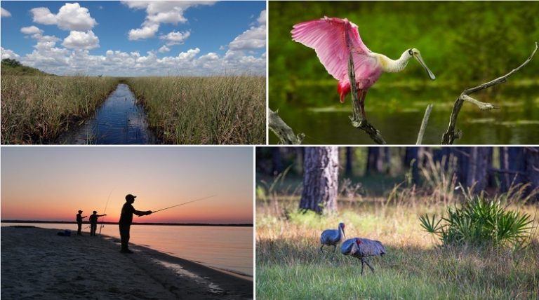 Explore Florida’s Wildlife Management Areas with FWC’s Geocaching Challenge!