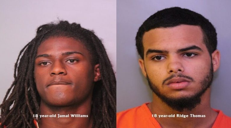 Alert Citizen Helps Police Capture Car Burglary Suspects in Winter Haven