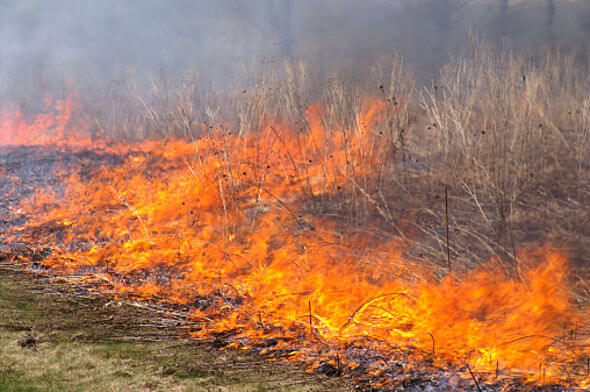 Polk County Fire Rescue Working Brush Fire In Southwest Bartow