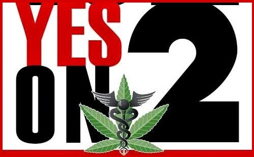 Amendment 2 Medical Marijuana Passes