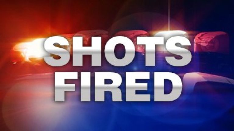 Lake Wales Police Take Man Into Custody After Responding To Shots Fired Call Late Wednesday Afternoon