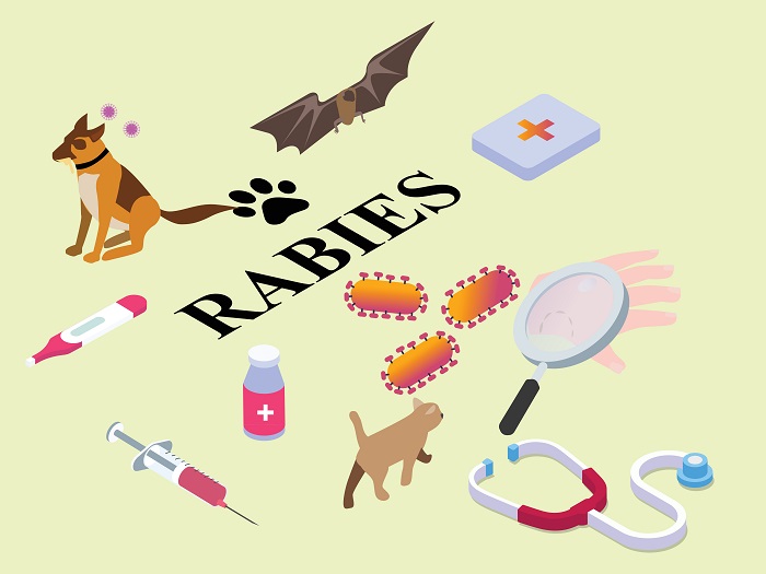 Polk County Has First Confirmed Case of Rabies in 2022