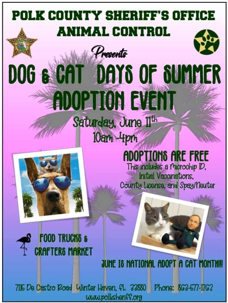 Free Dog And Cat Adoptions Offered This Saturday At Polk County Sheriff’s Office Animal Control