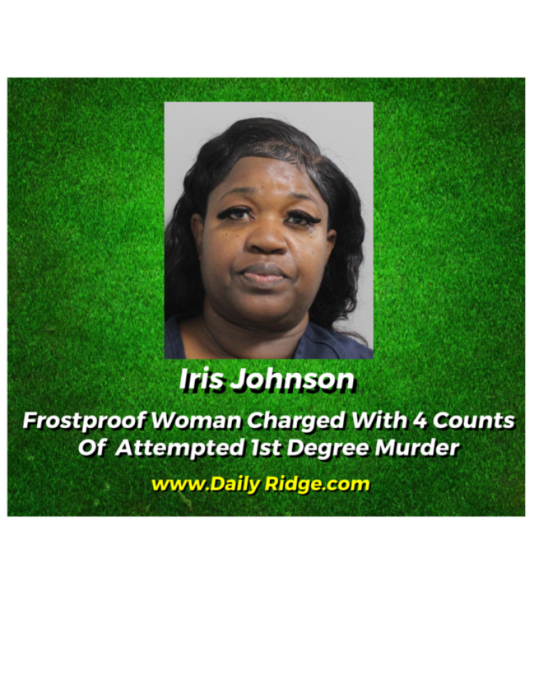 Frostproof Woman Charged With 4 Counts Of 1st Degree Attempted Murder In Stabbing Attack