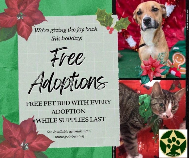Polk County Animal Control Offering Free Adoptions Until End Of Year