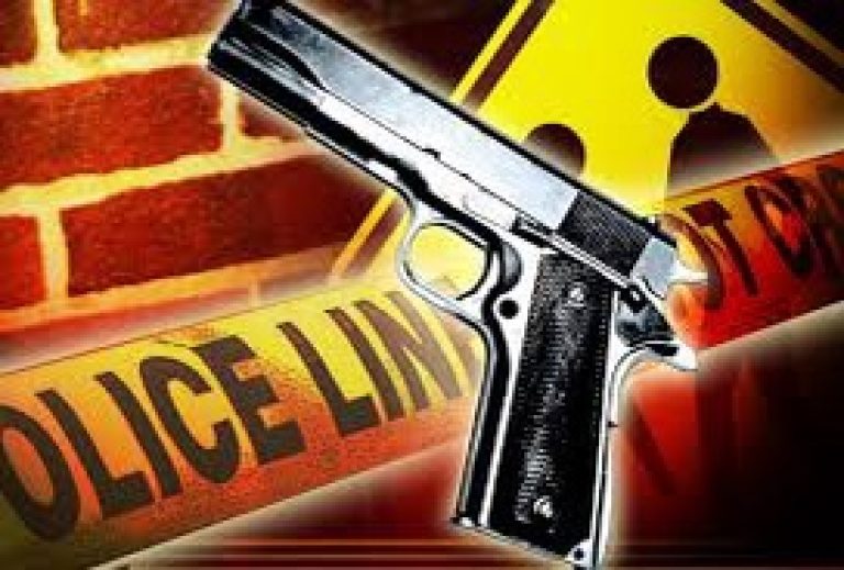 Gun Found At Lakeland Highlands Middle School Brought By 13 Yr Old