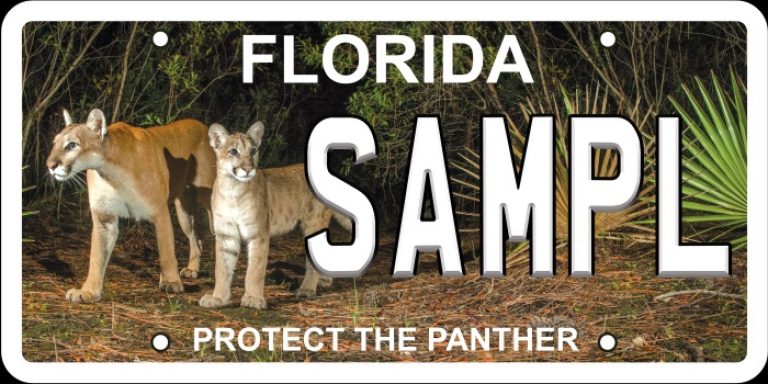 New panther license plate features famous female and her kitten
