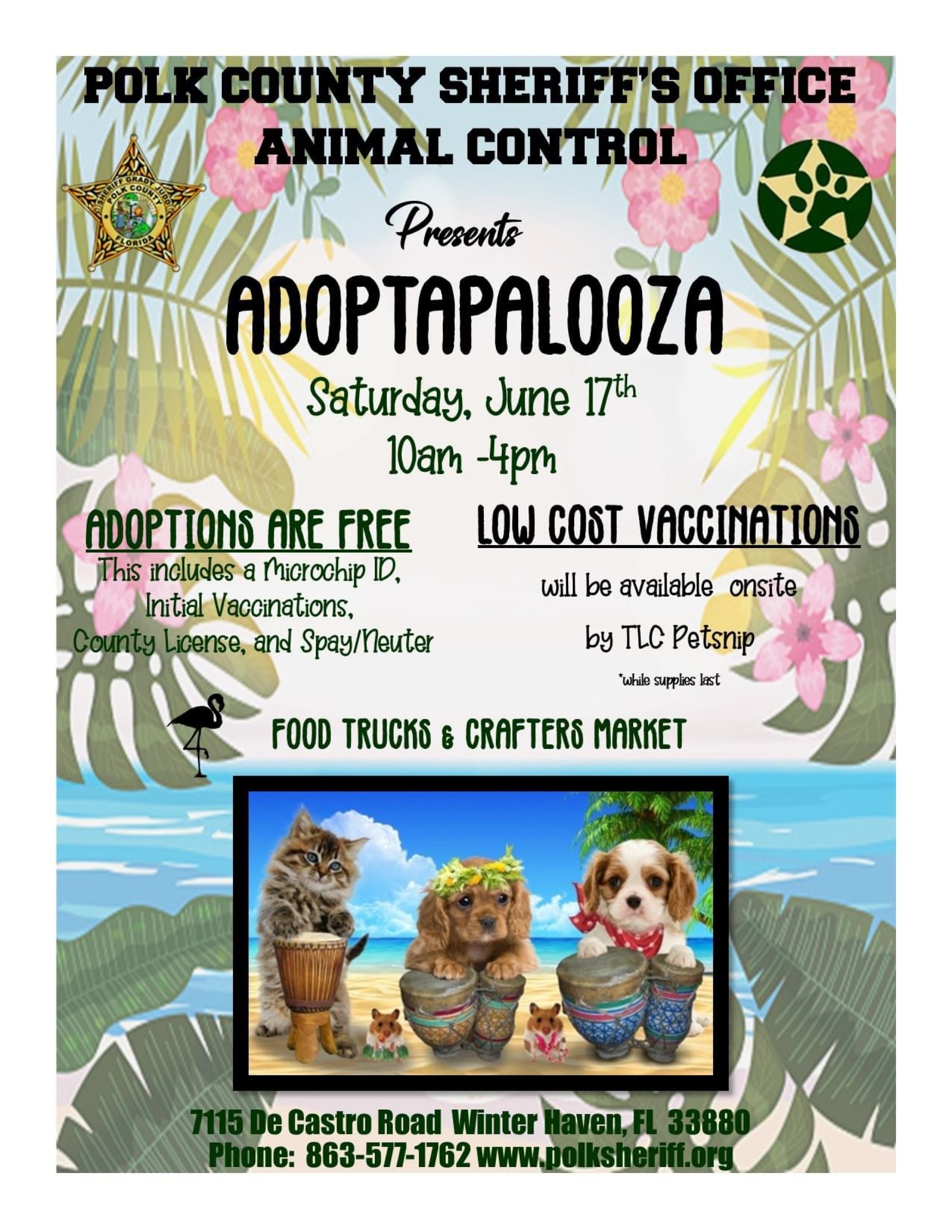 Polk County Sheriff S Office Animal Control Hosting Adoptapalooza June   IMG 7668 1920x2484 