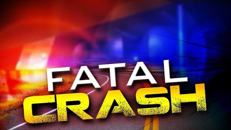 23 Yr Old Man Killed In Lakeland Crash