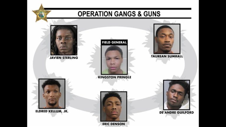Sheriff Describes How Gang Perpetrated 38 Car Burglaries Looking Mainly For Guns