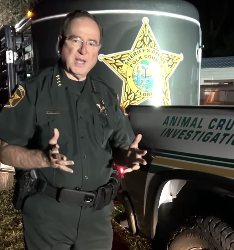 Polk County Sheriff Advises An Animal Hoarding Case In Frostproof