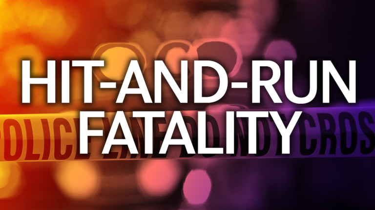 Woman Struck And Killed By Hit & Run Driver In Lakeland