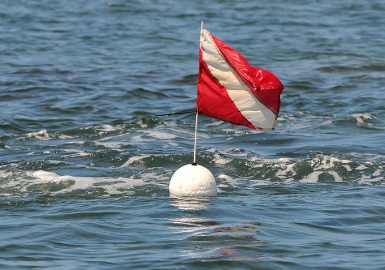 FWC reminds boaters and divers to use and be on the lookout for divers-down flags