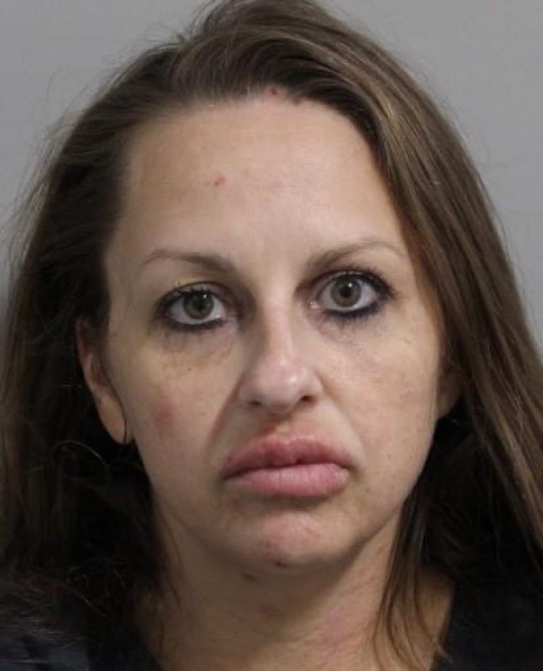 Lakeland Woman Facing Serious Charges After Allegedly Breaking Into A Vehicle Stealing Guns, Ammo And Other Items