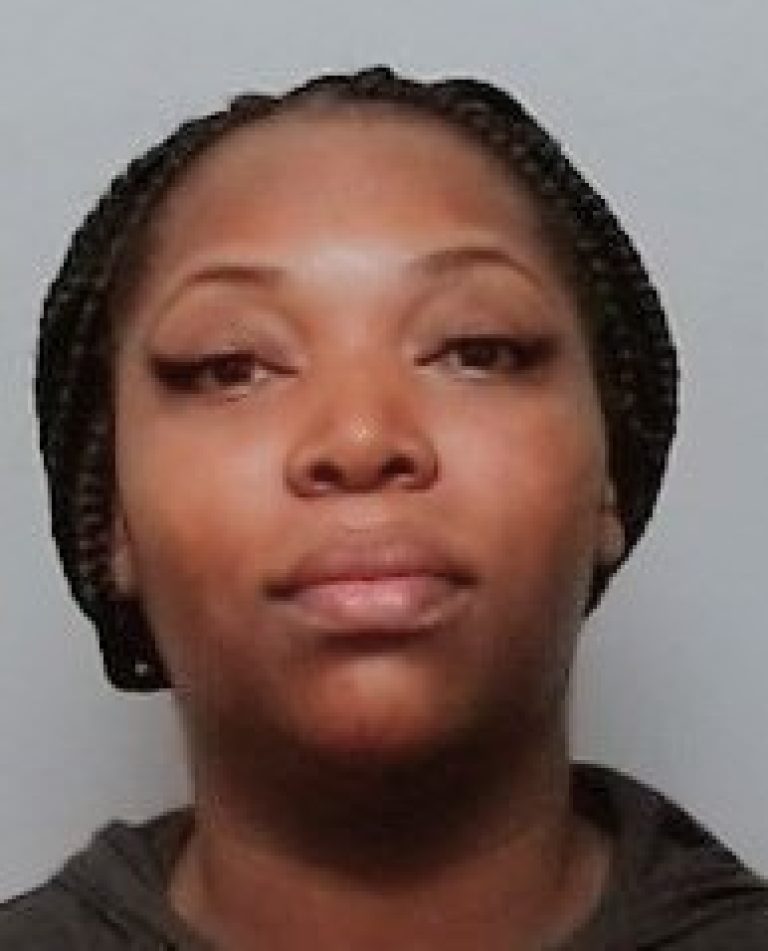 Lakeland Woman Arrested For Drinking In Bar While 4 Young Children (Youngest 10 Months Old) Were Left In Car