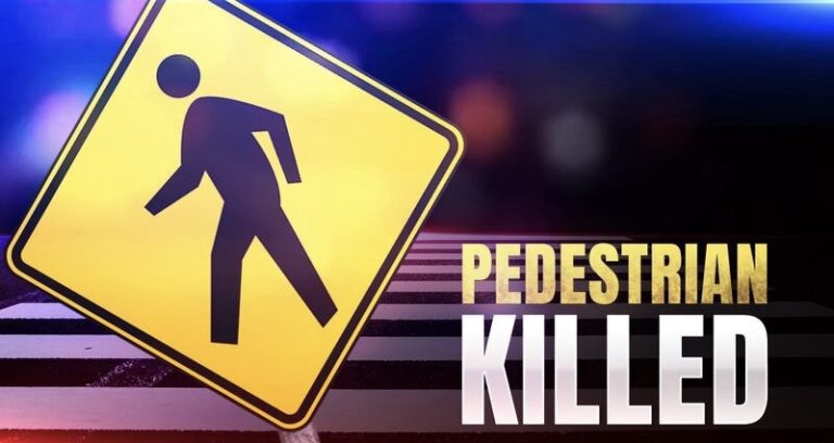 Lakeland Man Fatally Struck by Vehicle While Walking on US-92