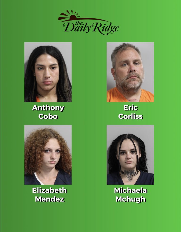 255 Arrested in Polk County Sting Operation “Fool Around and Find Out” — Suspect Allegedly Offered $800 for Sex Act – Press Conference Tomorrow