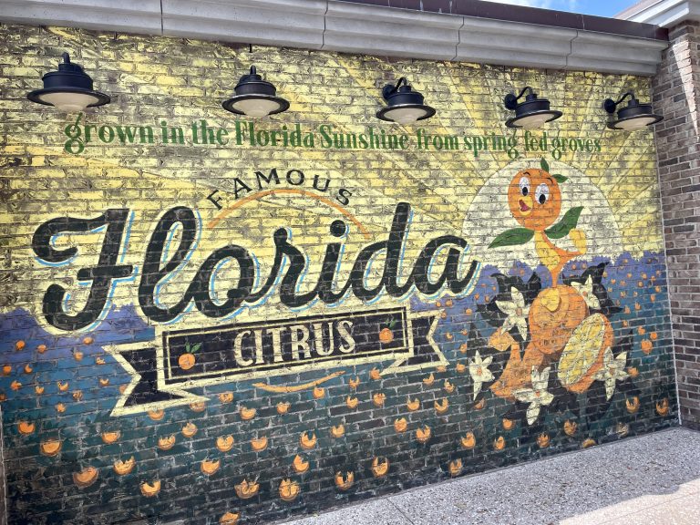 Welcome, World Travelers! JC’s Return Trip to Polk County, Day 5 (Disney World)