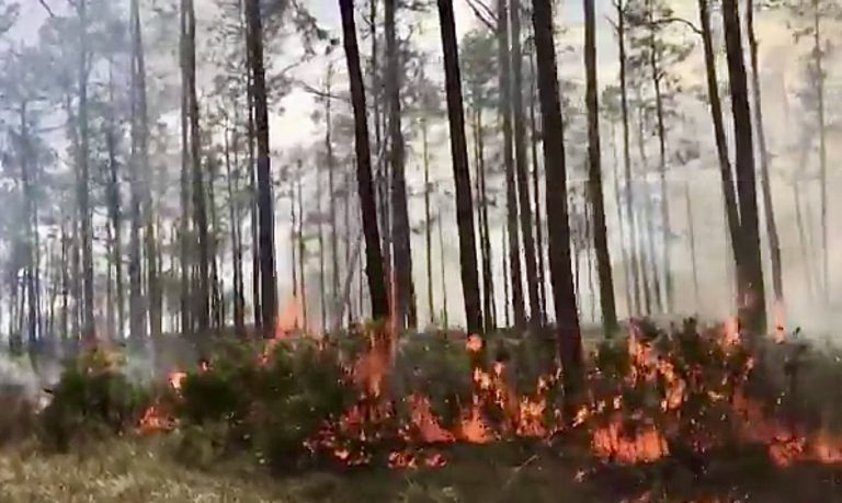 Wildfire Contained at Avon Park Bombing Range; Smoke Still a Concern On S.R 60 & C.R. 630