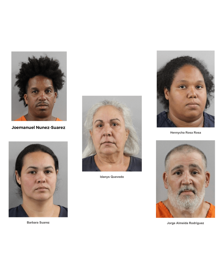 Tip Leads Deputies to Horrific Animal Cruelty Scene in Lake Wales: One Horse Dead, Dozens Seized