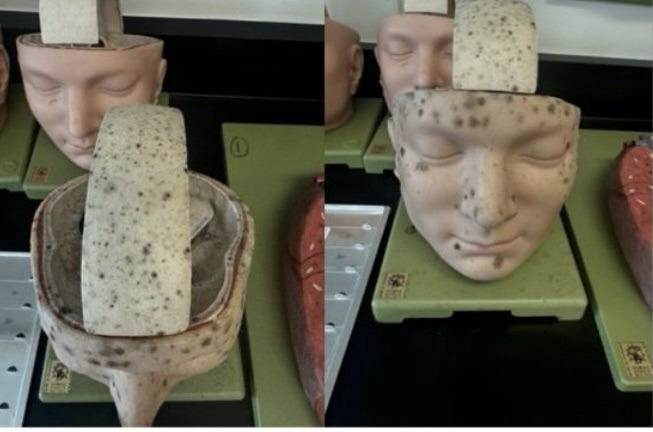 Mold Reports Reveal Discrepancy Between College Messaging and Test Results at Polk State’s Lakeland Campus
